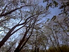 アナル, お尻, デカ尻, デカチン, デカパイ, フェラチオ, ハードコア, ヴィンテージ