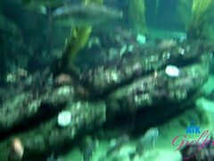 Anal, Gros cul, Sucer une bite, Éjaculation interne, Branlette thaïlandaise, Petite amie, Petite femme, Rasée