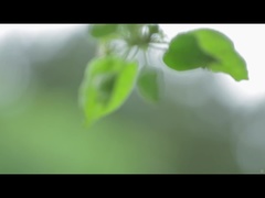 Pijpbeurt, Sperma, Vingeren, Frans, Zoenen, Tepels, Buiten, Kut duiken