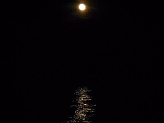 Night Camping in yellow pantyhose and nude - Marcia Fannie