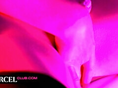 Grote kont, Pijpbeurt, Genootschap, Sperma shot, Hondjeshouding, Frans, Hd, Kousen