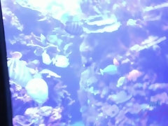 Amateur, Bikini, Doigter, Petite amie, Masturbation, Huilée, Maigrichonne, Chaussettes