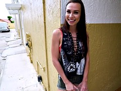 Bruinharig, Gezichtspunt, Openbaar