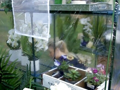 Jenna Starr hot juicy mom porn story