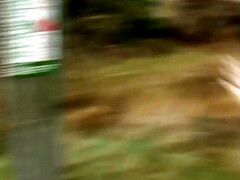 Scarlet_of Kent English MILF with huge tits & ass takes on a big dick in the ass