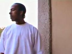 Красотки, Толстушки, Большой член, Большие сиськи, Черненькие, Секс без цензуры, На публике, Сиськи