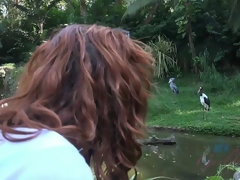 Anal, Sucer une bite, Petite amie, Pov, Mamelons bombés, Rugueux, Nénés, Vibromasseur