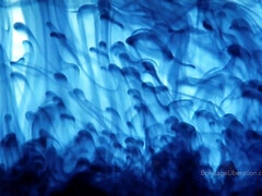 Arsch, Sadomasochismus, Grosser arsch, Fesselspiele, Fetisch, Orgasmus, Muschi, Spielzeuge