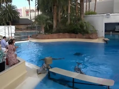 Amateur, Salle de bains, Gros seins, Brunette brune, Petite amie, Piercing, Chatte, Nénés