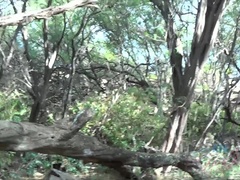 Enthousiasteling, Strand, Blond, Naakt, Doordringend, Kut duiken, Mager, Tieten likken