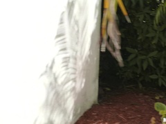 Bad, Blasen, Natürlichen titten, Im freien, Piercing, Muschi, Kurzes haar, Spanner