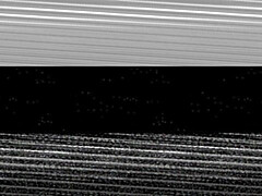 Harmonious Daisy and Jerry's anal video