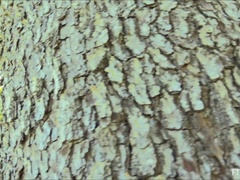 Dichtbij, Vingeren, Masseren, Masturbatie, Orgasme, Openbaar, Alleen, Spuiten