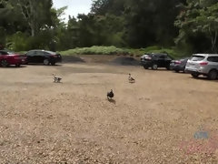 Strand, Blond, Orgasme, Buiten, Gezichtspunt, Openbaar, Geschoren, Tieten likken