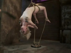 Hot blond suffers though a brutal Category 5 inverted suspension.How many orgasms can she take?