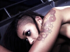 Skin Diamond gets fucked hard in standing position after giving head