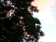 素人, お尻, 気狂い, オナニー, オマンコ, 赤毛, 一人, オッパイの