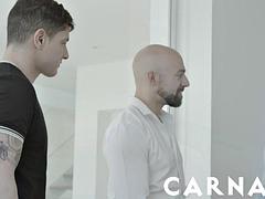 Язык в попке, Блондинки, Брюнетки, Затыкание рта, Межрасовый секс, Латиноамериканки, Мускулы, Тату