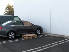 Большие сиськи, Минет, Хд, Трансы