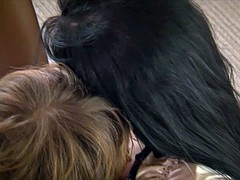 Pijpbeurt, Bruinharig, Sperma shot, Hardcore, Hd, Panty, Tieten likken