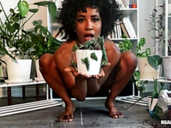 Culo, Ébano, Penetracion con dedos, Abierta, Peludo, Pajear, Estriptis, Juguetes