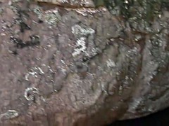 美人, ゲイ, ハードコア, ラティーナ, オナニー, アウトドア