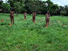大学生, グループ, レズビアン, なめる