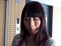 Asiatisch, Besamung, Hundestellung, Küssen, Küche, Hausmädchen, Muschi, Nass