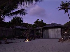 セレブ