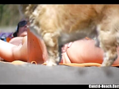 Playa, Culo grande, Compilación, Hd, Mamá, Desnudo, Público, Solo