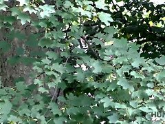 Блондинки, Минет, Рогоносцы, Европейки, Хд, Деньги, От первого лица, Реалити