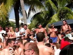 wild party girls 35 scene 5