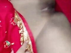 Bruinharig, Hd, Indisch