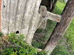 デカパイ, 服従, 露出狂, 陵辱, アウトドア, 公共, スラップ, オッパイの