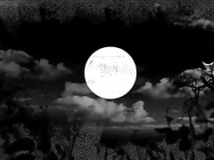 デカ尻, デカパイ, 茶髪の, 巨乳な, ハードコア, Hd, 異人種間, 自然山雀