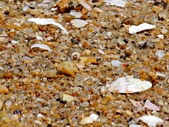 Strand, Paar, Frau, Flashen, Milf, Öffentlich, Realität, Unter dem rock