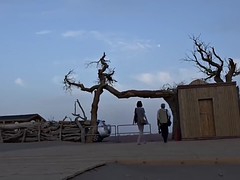 Любители, На публике, Соло