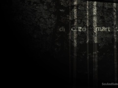 Анальный секс, Садо мазо, Минет, Бондаж, Доминирование, Унижение, Наказание, Жесткий секс