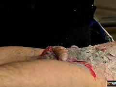 Stretched And Stroked By The Master - Milo Millis And Sebastian Kane