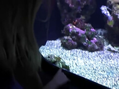 Strand, Blond, Sperma in gezicht, Hd, Doordringend, Gezichtspunt, Tatoeage, Onder de rok