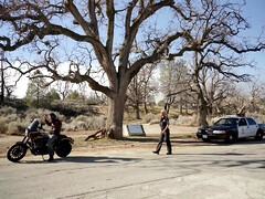 アメリカ人, デカ尻, 車, イマラチオ, ハードコア, オナニー, 淫乱熟女, オマンコ