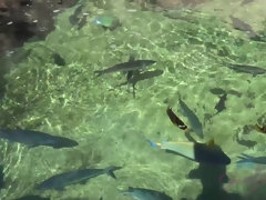 Leie, Blondine, Freundin, Pov, Muschi, Weibliche ejakulation, Titten, Nass