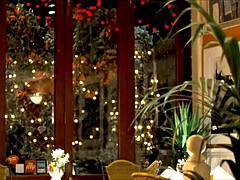 Britannique, Célébrité, Nénés