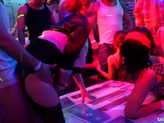 Verga grande, Pajear, Interracial, Lesbiana, Orgía, Estrella porno, Intercambio de parejas, Trio