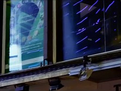 Asiático, Celebridad