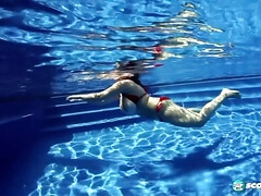 Grote kont, Pijpbeurt, Rondborstig, Mollig, Hd, Reusachtig, Buiten, Alleen