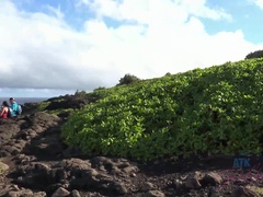You check out the island and fuck Carmen in the car.