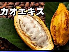 素人, デカチン, デカパイ, フェラチオ, 中出し, 日本人, ハメ撮り, オッパイの