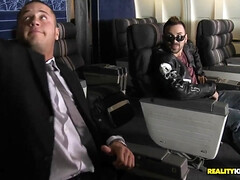 Anaal, Blond, Pijpbeurt, Bruinharig, Hondjeshouding, Handbeurt, Hd, Tepels