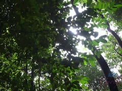 茶髪の, 指いじり, 彼女, 手コキする, ハメ撮り, オマンコ, オッパイの, 濡れ